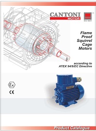 Каталог Электродвигатели повышенной безопасности Cantoni